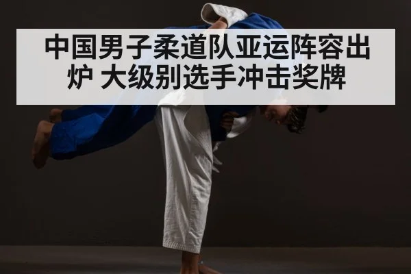 中国男子柔道队亚运阵容出炉 大级别选手冲击奖牌